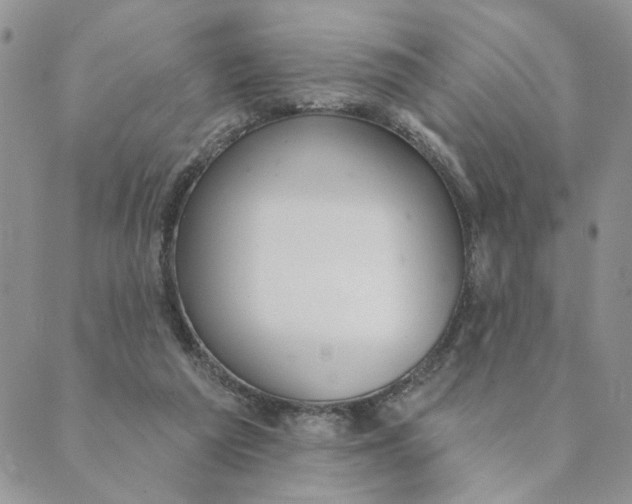 X0000089340209200707061008
