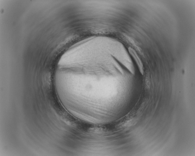 X0000089340211200707061008