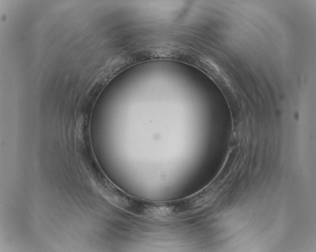 X0000089340217200707061008