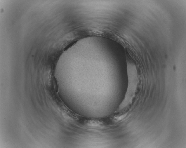 X0000089340223200707061008