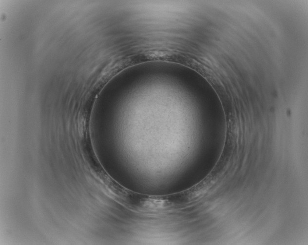 X0000089340227200707061007