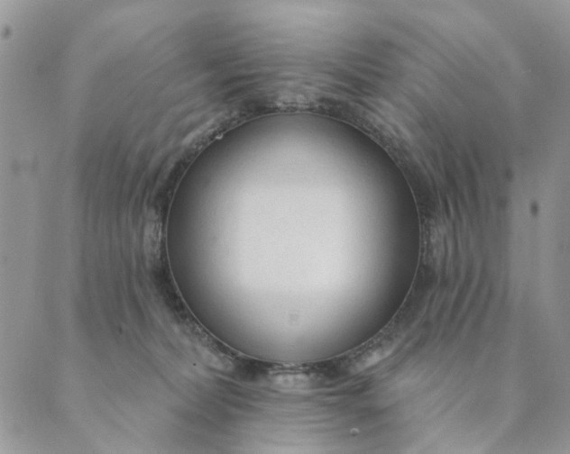 X0000089340228200707061007