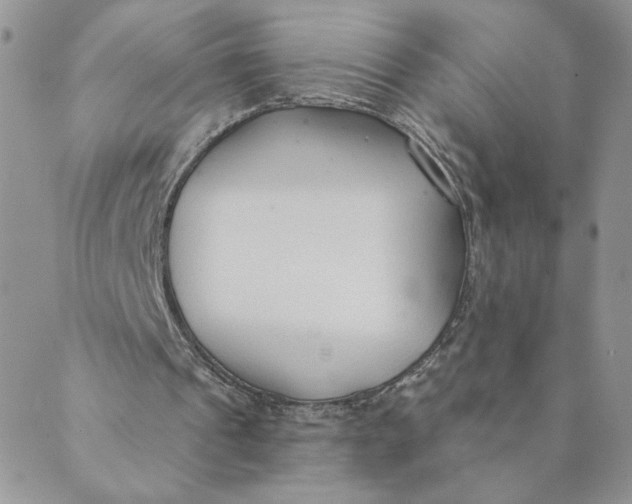 X0000089340241200707061006