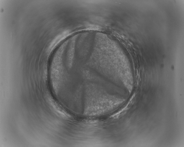 X0000089340247200707061007