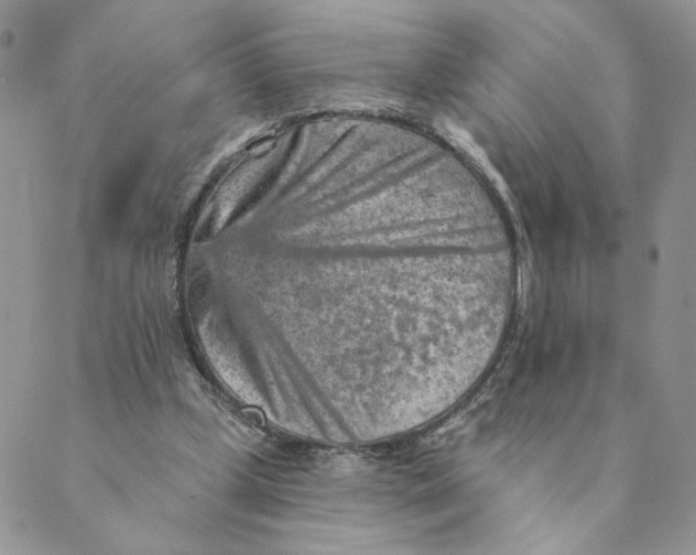 X0000089340249200707061007