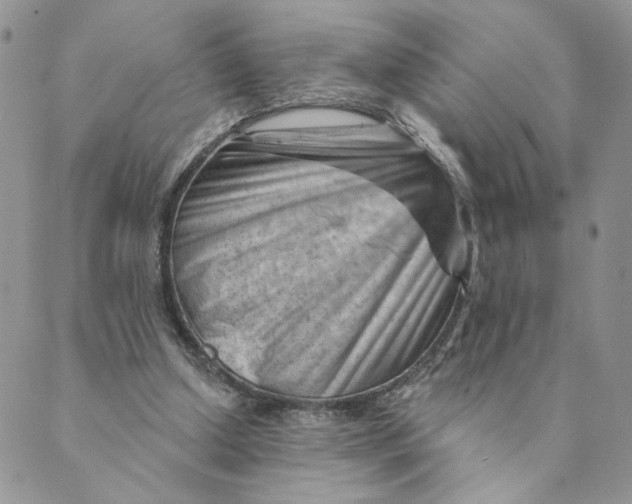 X0000089340250200707061007
