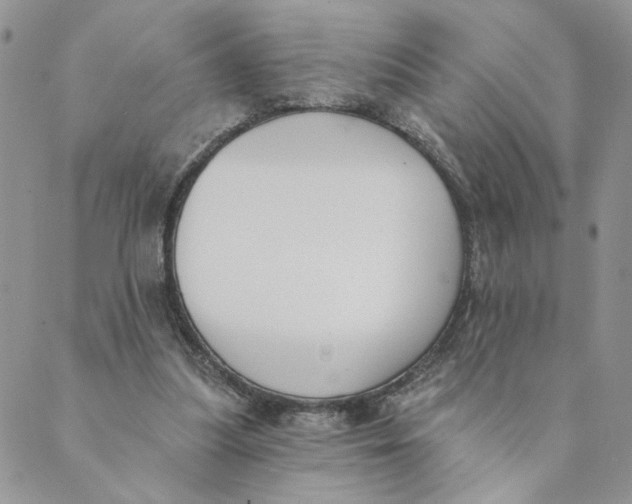 X0000089340251200707061007