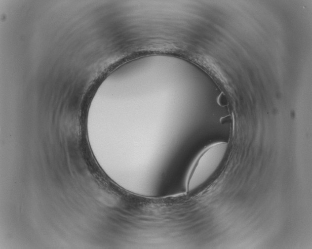 X0000089340252200707061007