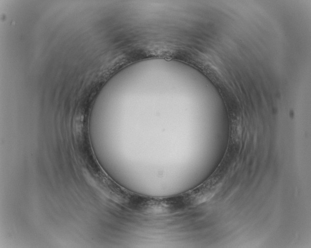 X0000089340263200707061007