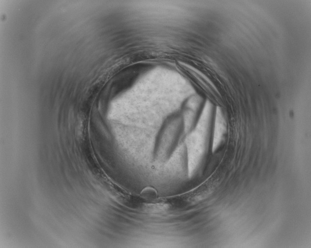 X0000089340266200707061007