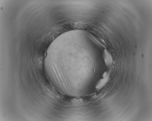 X0000089340271200707061007