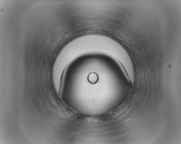 X0000089340272200707061007