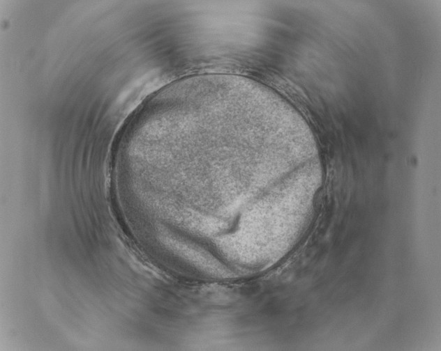X0000089340290200707061006