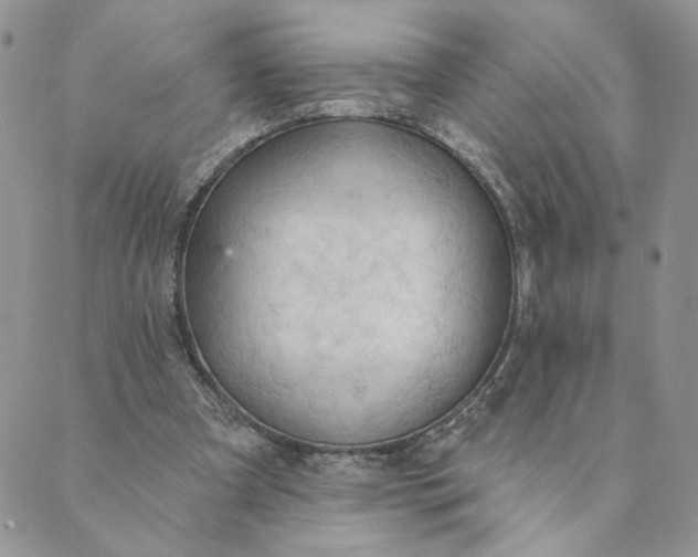 X0000089340297200707061006