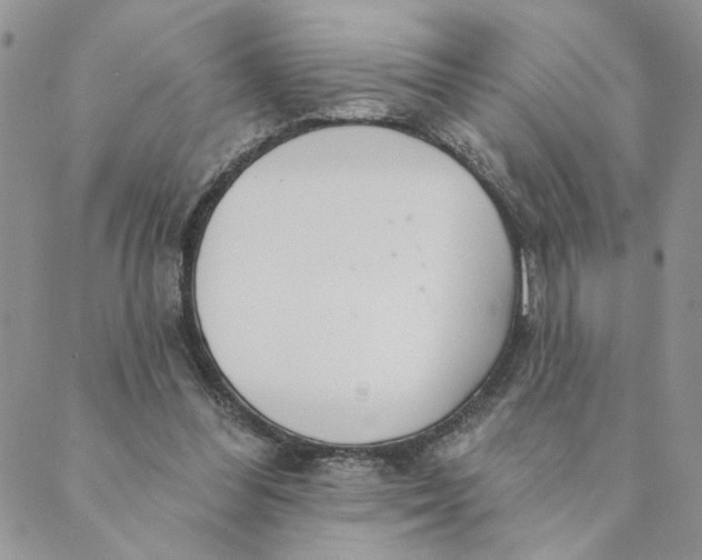 X0000089340300200707061006