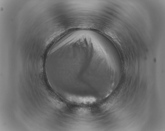 X0000089340303200707061006