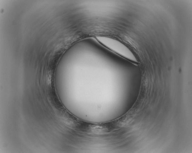 X0000089340315200707061006