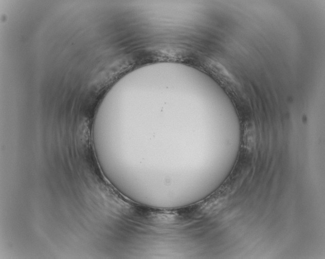 X0000089340318200707061006