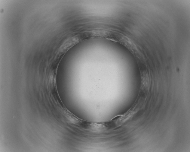 X0000089340333200707061006