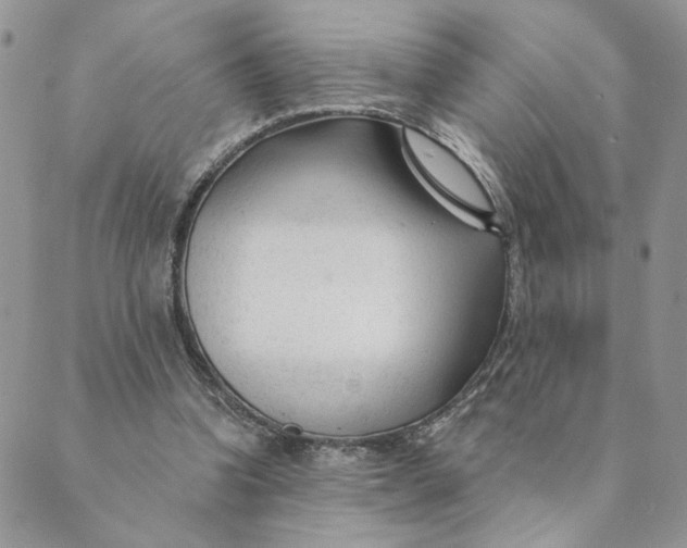 X0000089340346200707061005