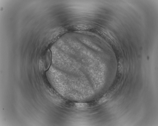 X0000089340371200707061005