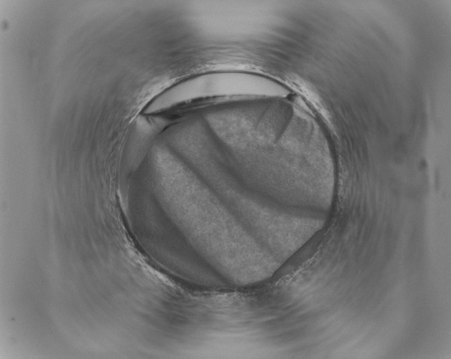 X0000089340385200707061005