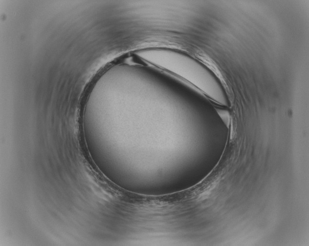 X0000089340387200707061005