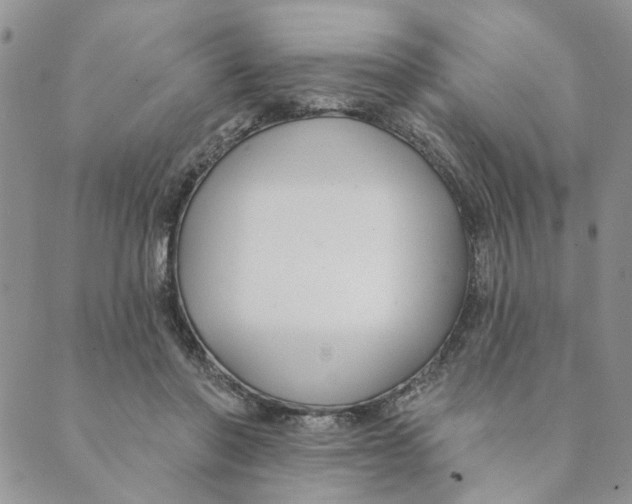 X0000089340406200707061005