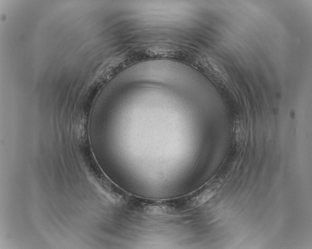X0000089340408200707061005