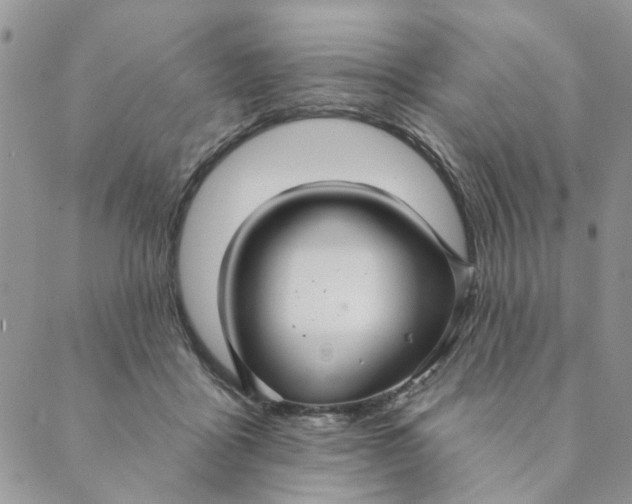 X0000089340411200707061004