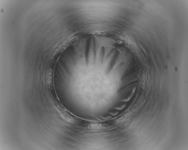 X0000089340413200707061004