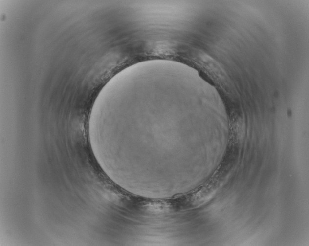 X0000089340415200707061004
