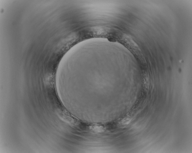 X0000089340419200707061004