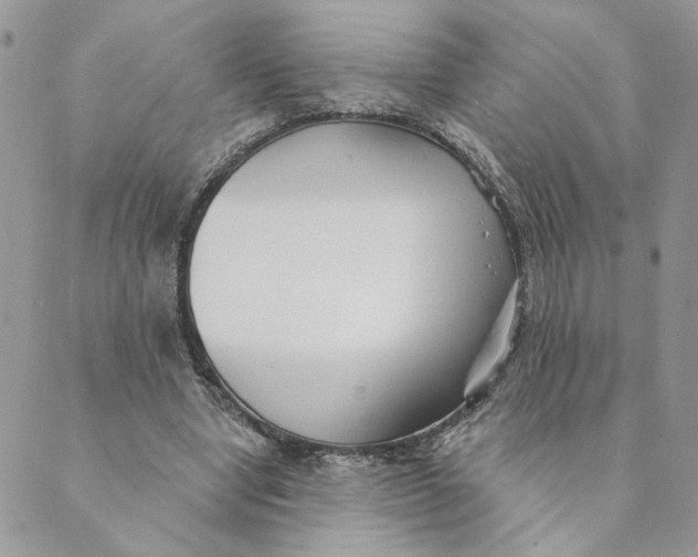 X0000089340442200707061004