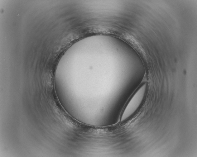 X0000089340449200707061004