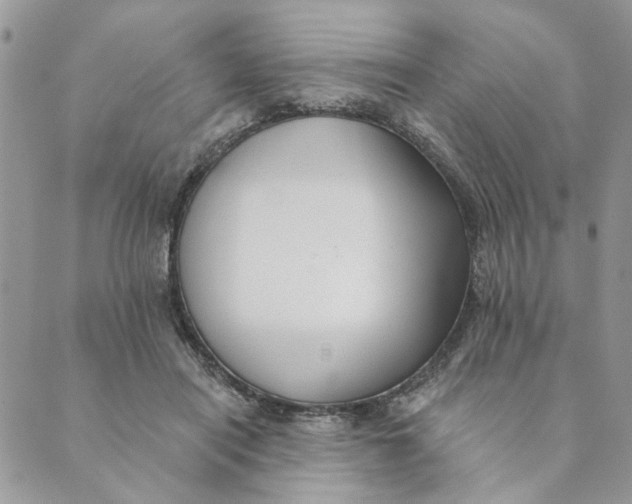 X0000089340454200707061004