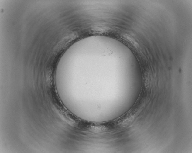 X0000089340455200707061004