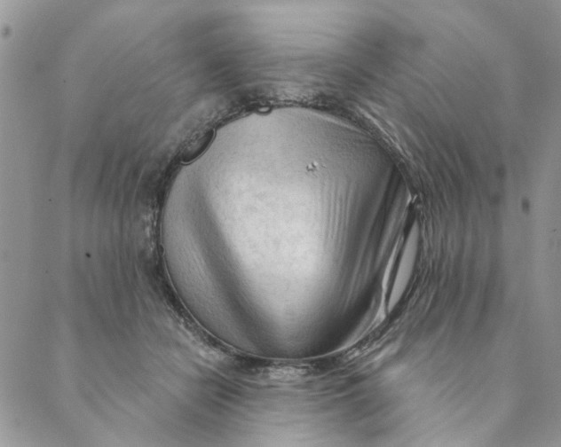 X0000089340462200707061004