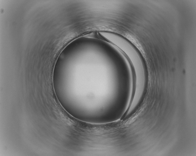 X0000089340481200707061003