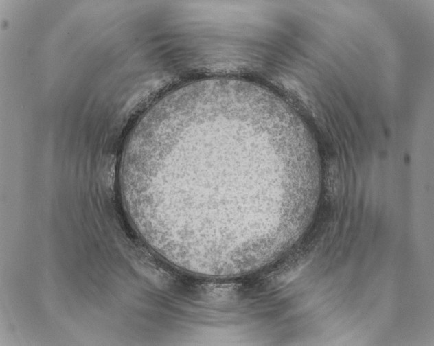 X0000089340495200707061003