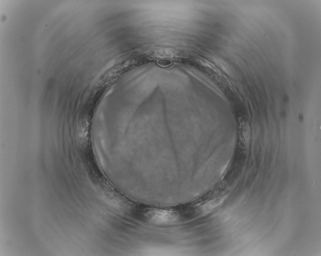 X0000089340507200707061003