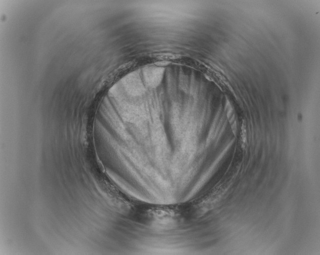 X0000089340512200707061003