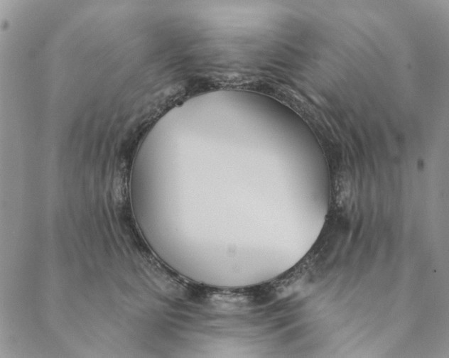 X0000089340515200707061003