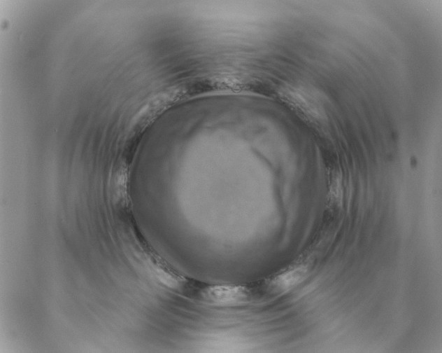 X0000089340526200707061003