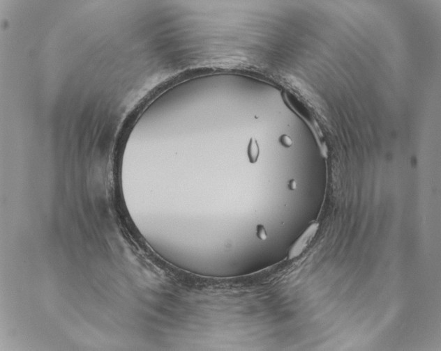 X0000089340532200707061002