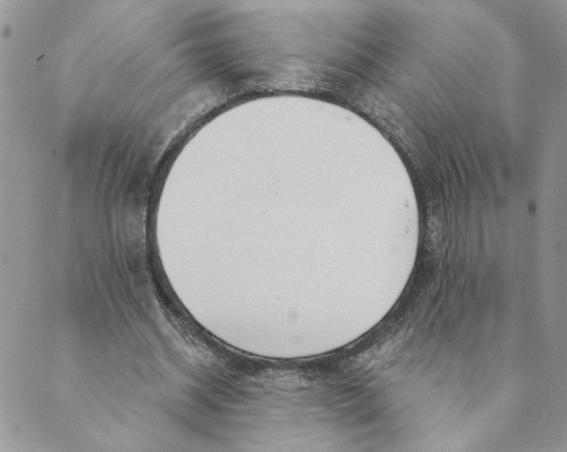 X0000089340534200707061002
