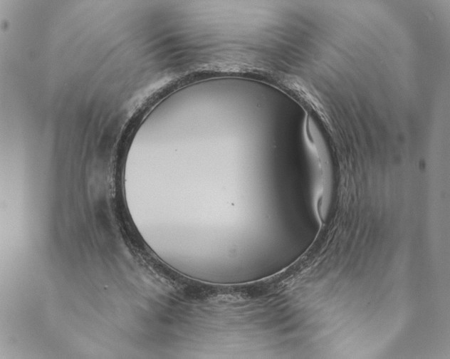 X0000089340536200707061002
