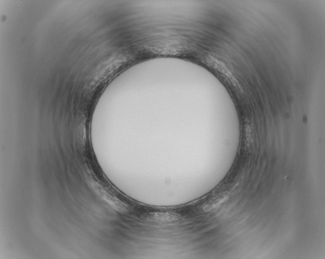 X0000089340541200707061002