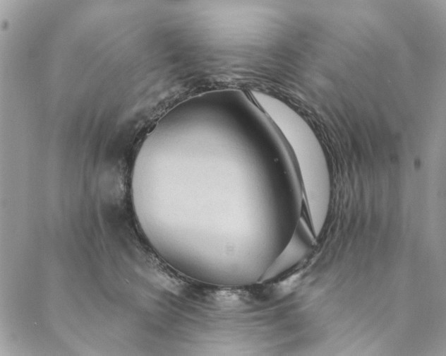 X0000089340566200707061002