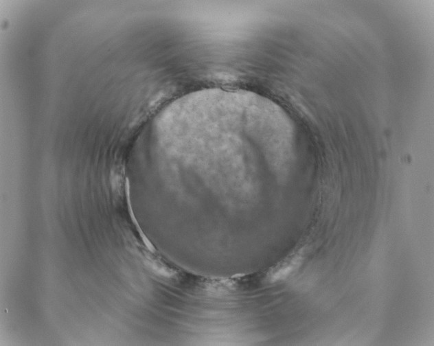 X0000089340576200707061003